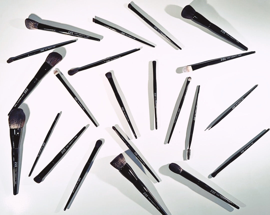 22pcs Makeup Brush Set